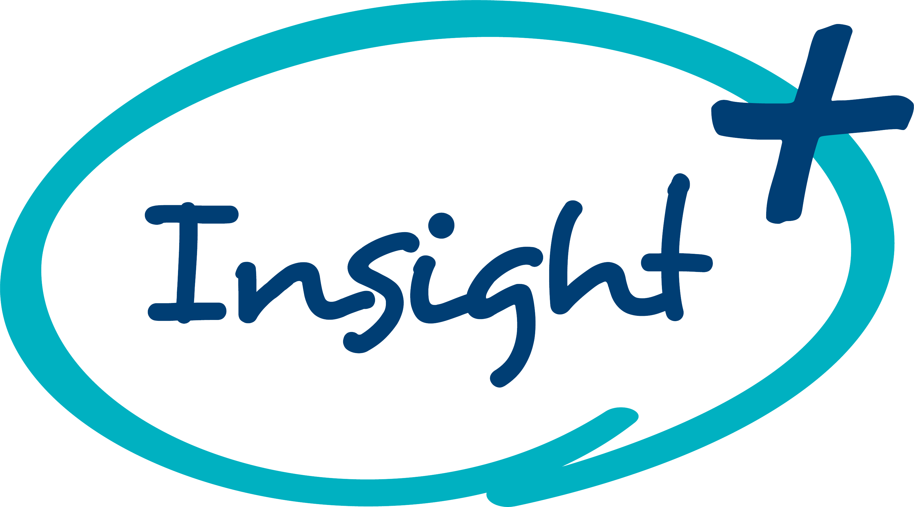 Insight Plus logo
