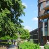 Image of Tree Court at Fitzwilliam College