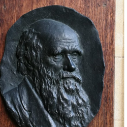 Charles Darwin Charles Darwin