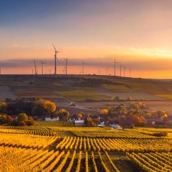 Wind turbines over field of crops